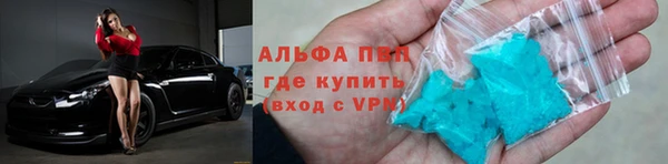 гашик Арсеньев