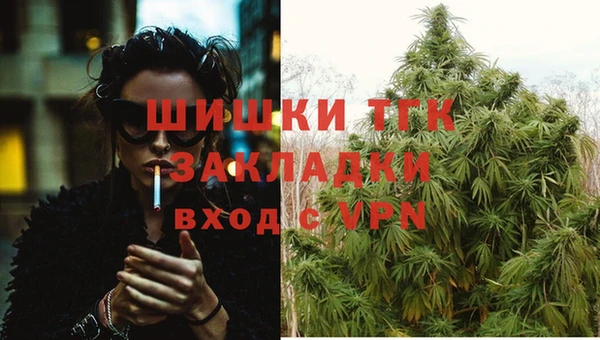 амф Аркадак