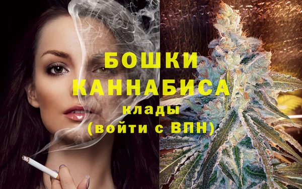гашик Арсеньев