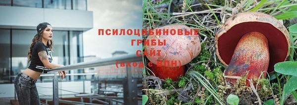 амф Аркадак
