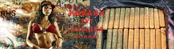 амф Аркадак
