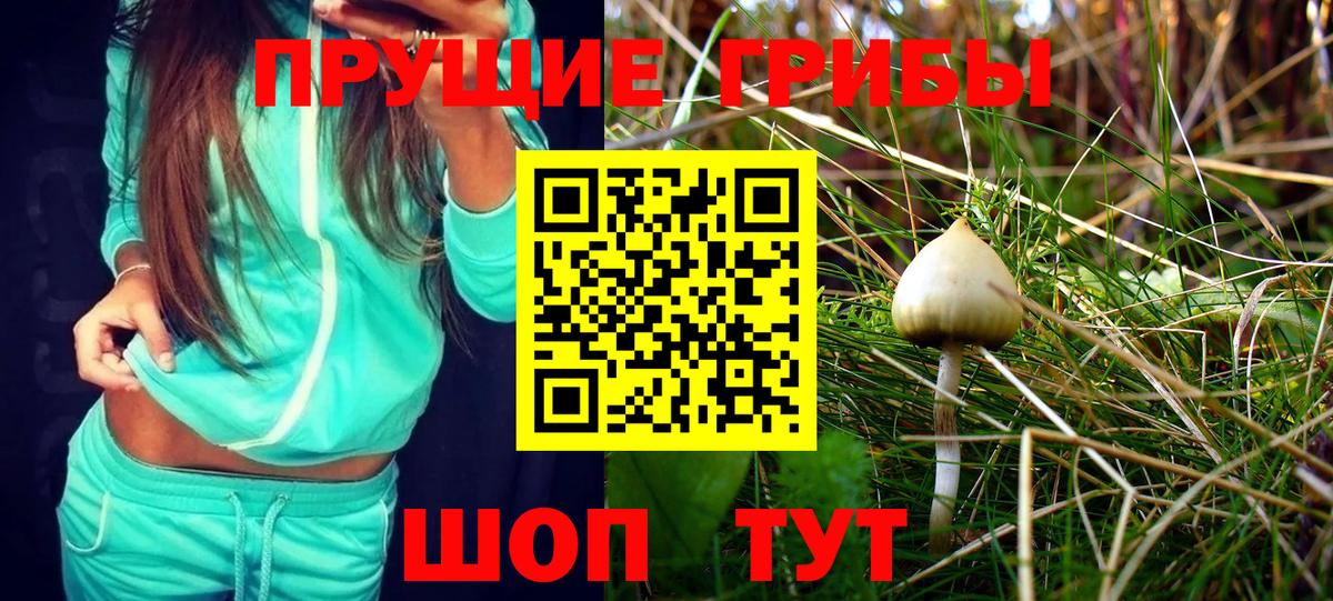 Галлюциногенные грибы Cubensis  Вход с VPN  продажа наркотиков  Галлюциногенные грибы мицелий  Чайковский 